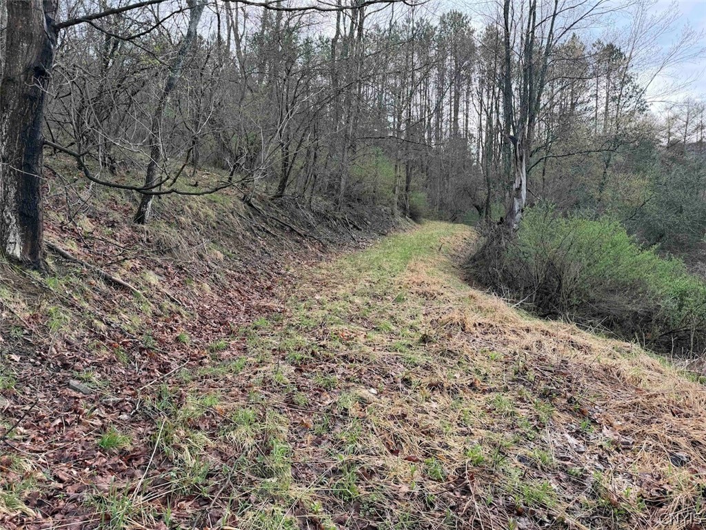 Mccann Hollow Road Olean, NY 14760 - Photo 13 of 38