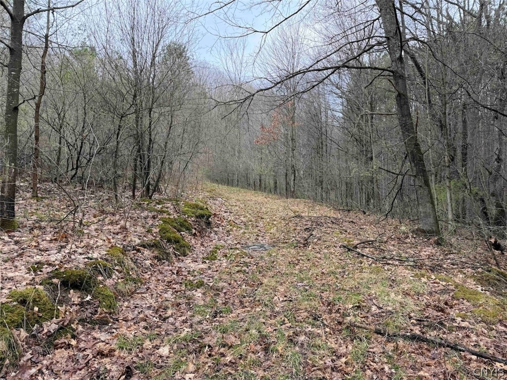 Mccann Hollow Road Olean, NY 14760 - Photo 14 of 38