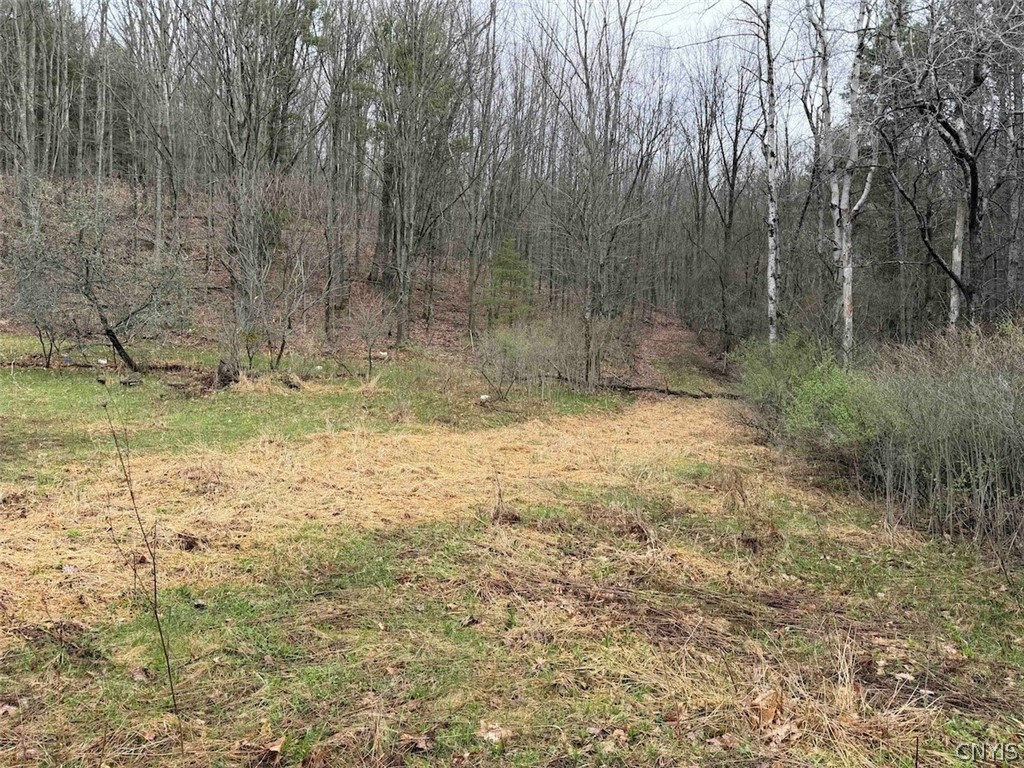 Mccann Hollow Road Olean, NY 14760 - Photo 15 of 38