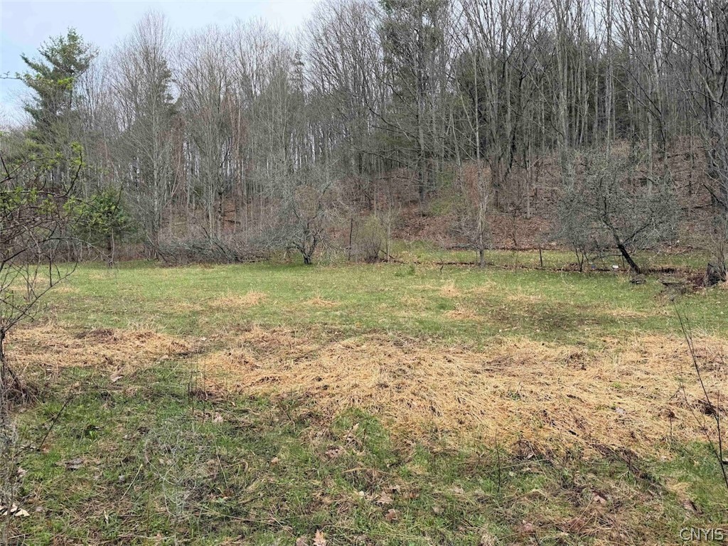 Mccann Hollow Road Olean, NY 14760 - Photo 16 of 38