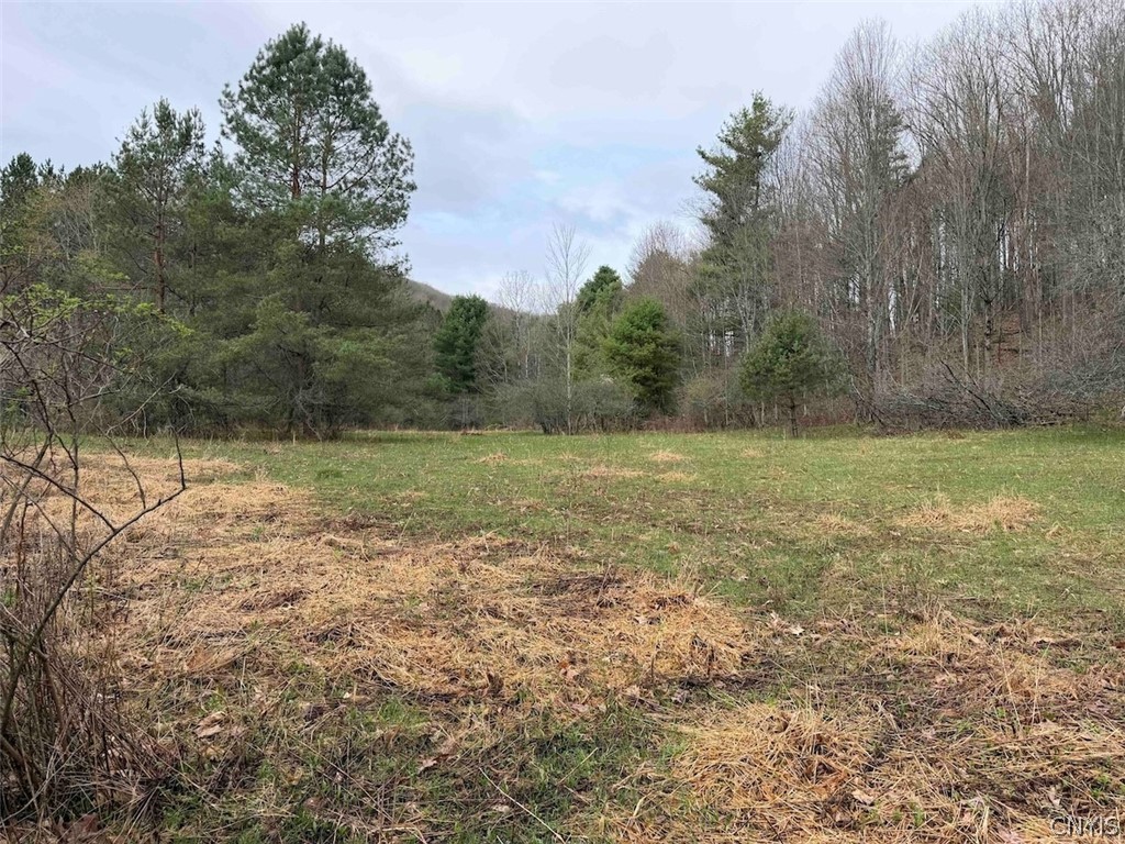 Mccann Hollow Road Olean, NY 14760 - Photo 17 of 38