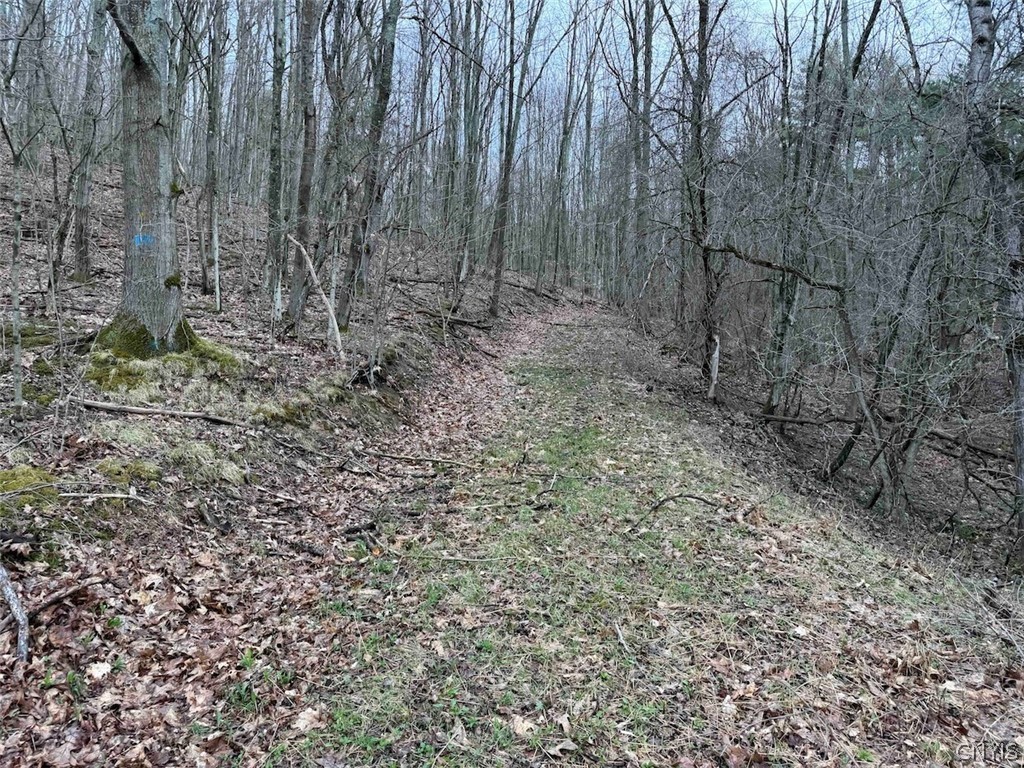 Mccann Hollow Road Olean, NY 14760 - Photo 18 of 38