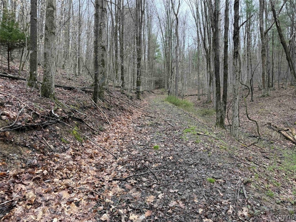 Mccann Hollow Road Olean, NY 14760 - Photo 19 of 38