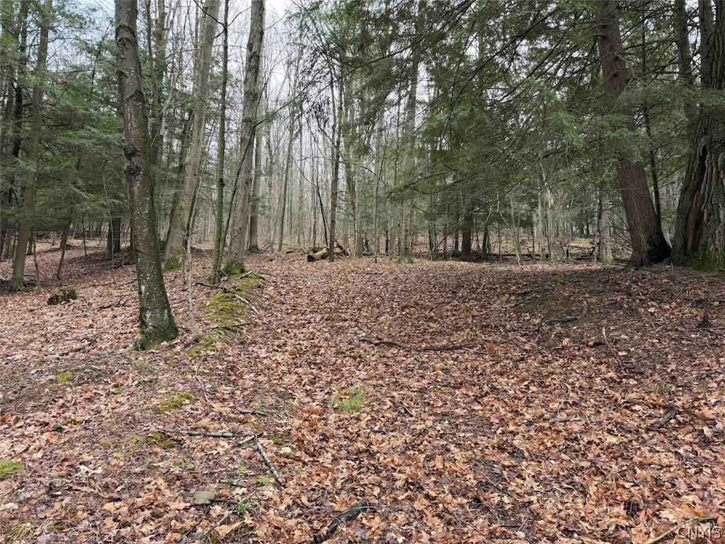 Mccann Hollow Road Olean, NY 14760 - Photo 20 of 38