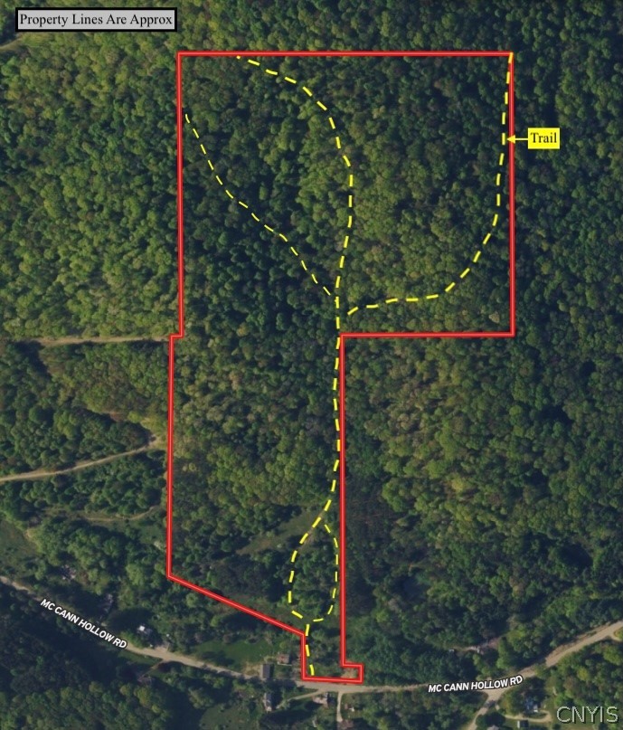 Mccann Hollow Road Olean, NY 14760 - Photo 2 of 38