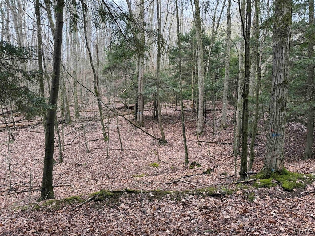 Mccann Hollow Road Olean, NY 14760 - Photo 21 of 38