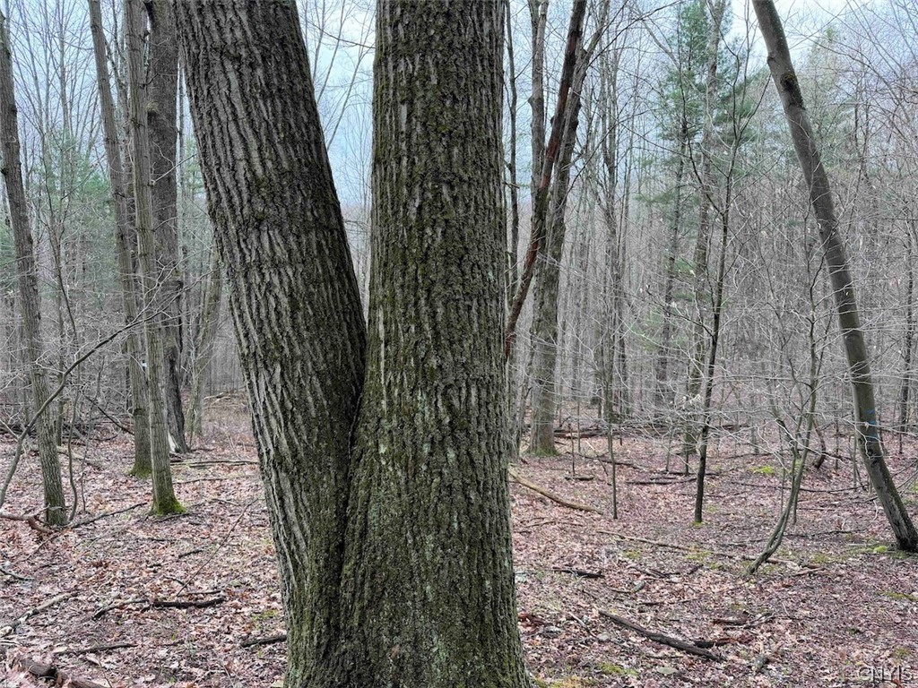 Mccann Hollow Road Olean, NY 14760 - Photo 22 of 38