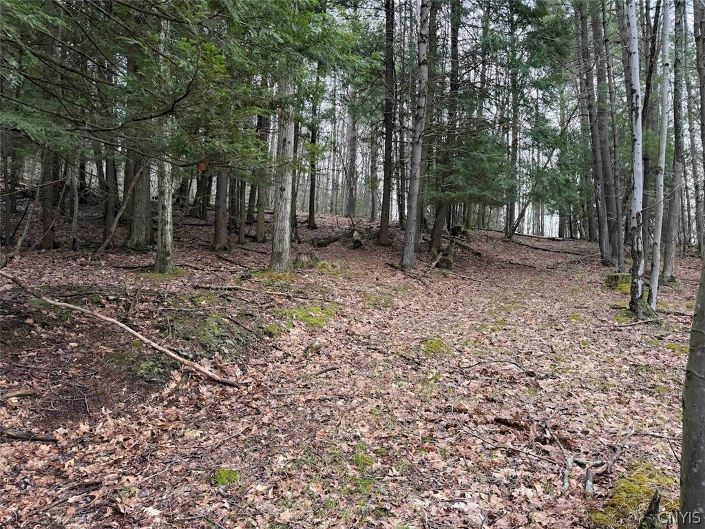 Mccann Hollow Road Olean, NY 14760 - Photo 23 of 38