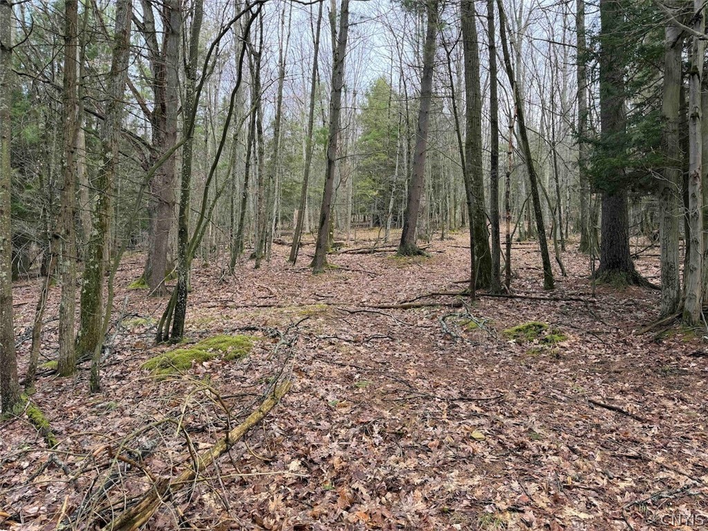 Mccann Hollow Road Olean, NY 14760 - Photo 24 of 38