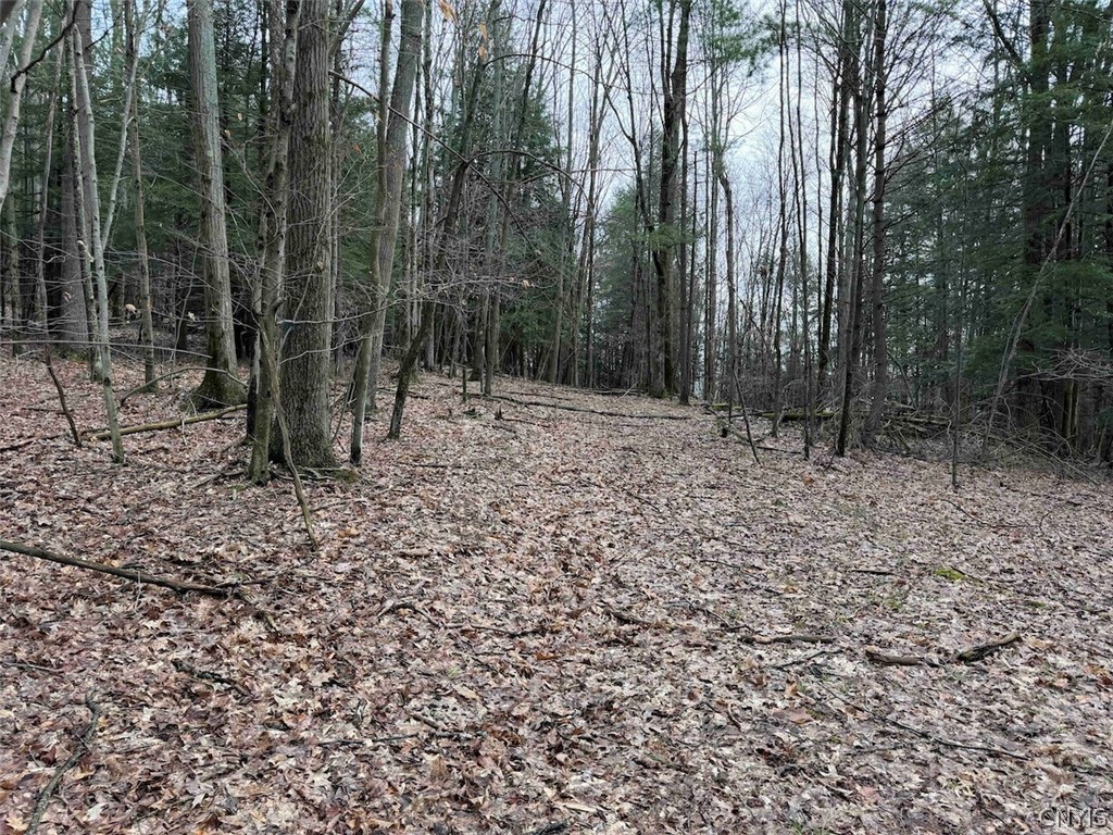 Mccann Hollow Road Olean, NY 14760 - Photo 25 of 38