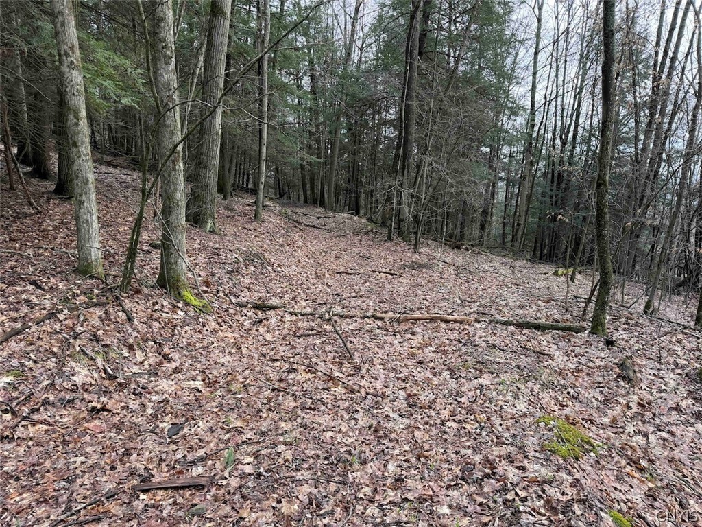 Mccann Hollow Road Olean, NY 14760 - Photo 26 of 38