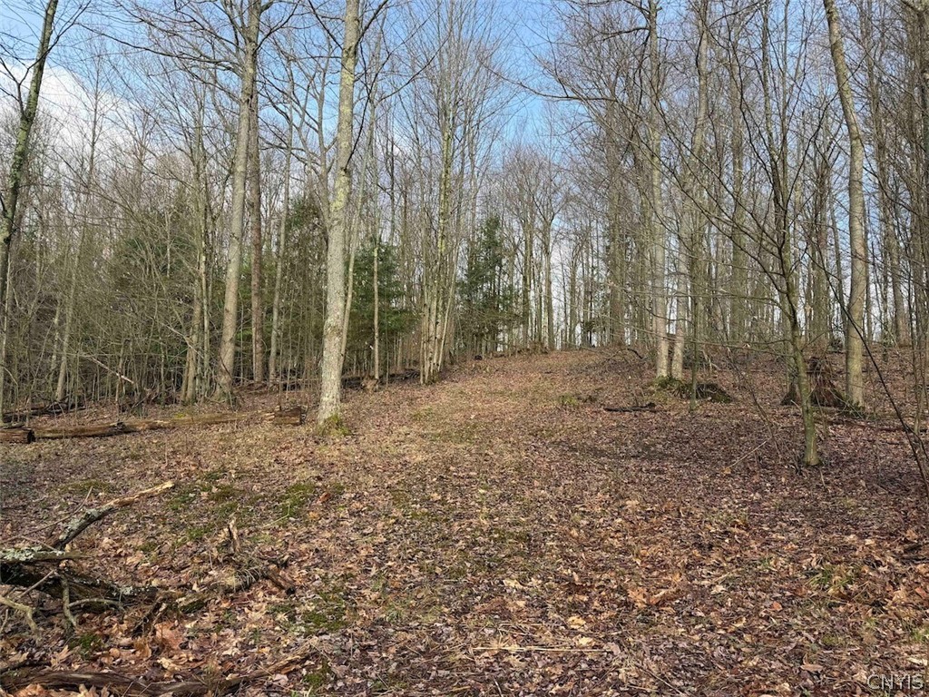 Mccann Hollow Road Olean, NY 14760 - Photo 27 of 38