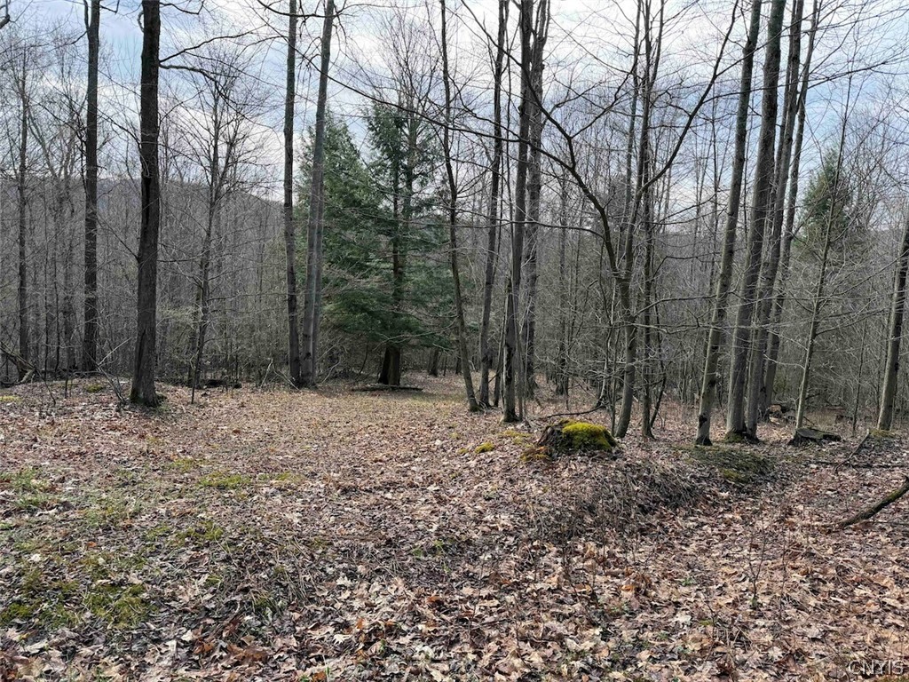 Mccann Hollow Road Olean, NY 14760 - Photo 28 of 38