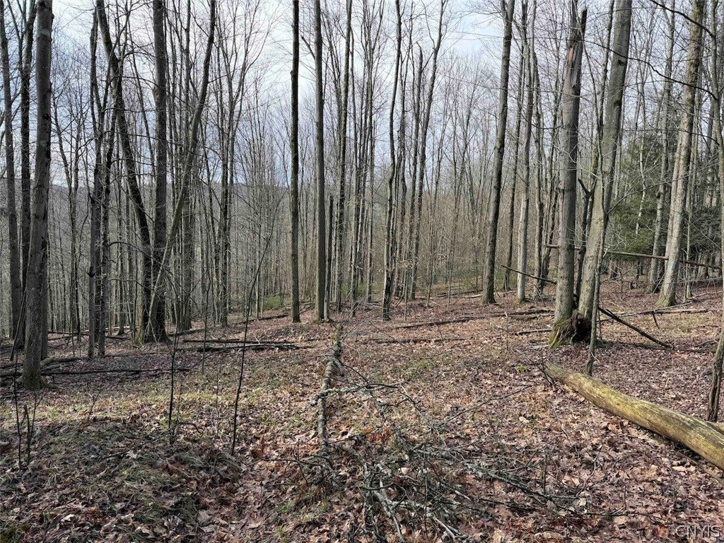 Mccann Hollow Road Olean, NY 14760 - Photo 29 of 38