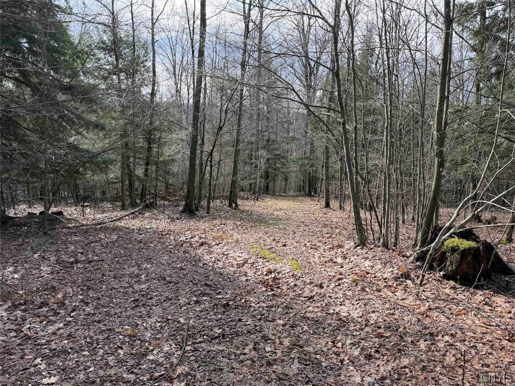 Mccann Hollow Road Olean, NY 14760 - Photo 30 of 38