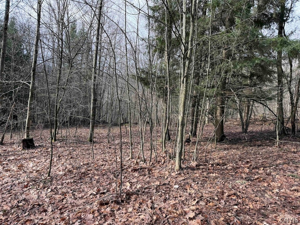 Mccann Hollow Road Olean, NY 14760 - Photo 31 of 38