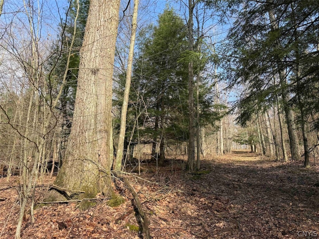 Mccann Hollow Road Olean, NY 14760 - Photo 32 of 38