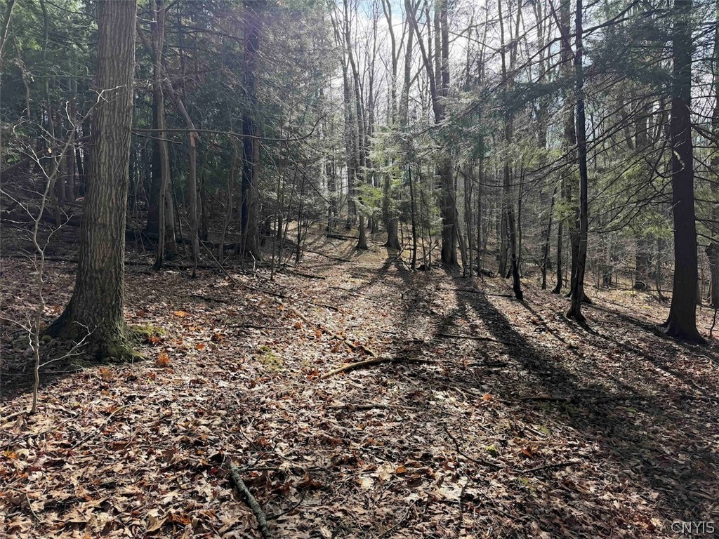 Mccann Hollow Road Olean, NY 14760 - Photo 34 of 38
