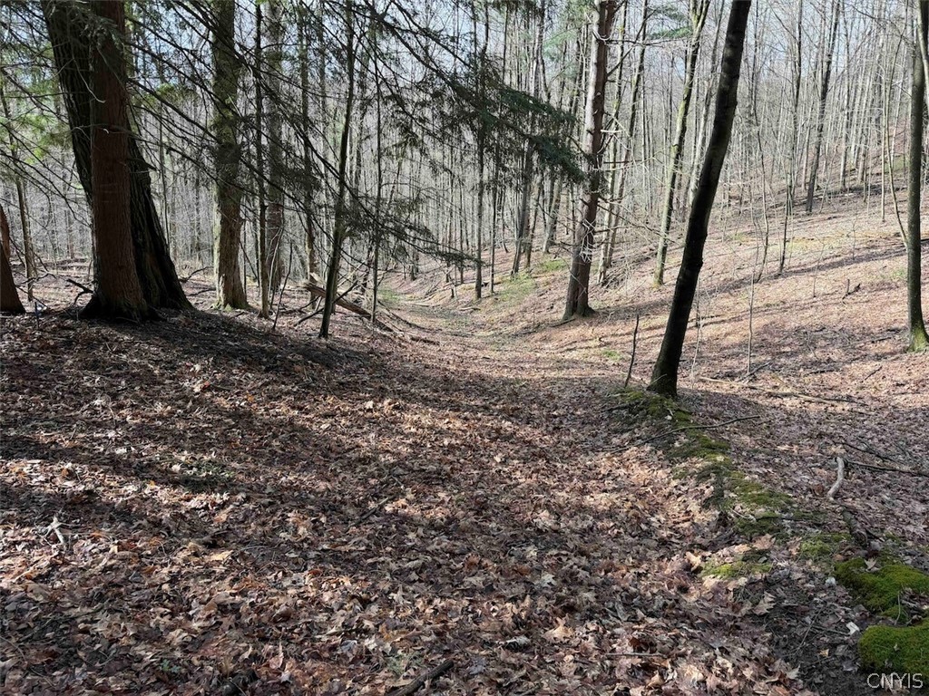 Mccann Hollow Road Olean, NY 14760 - Photo 35 of 38