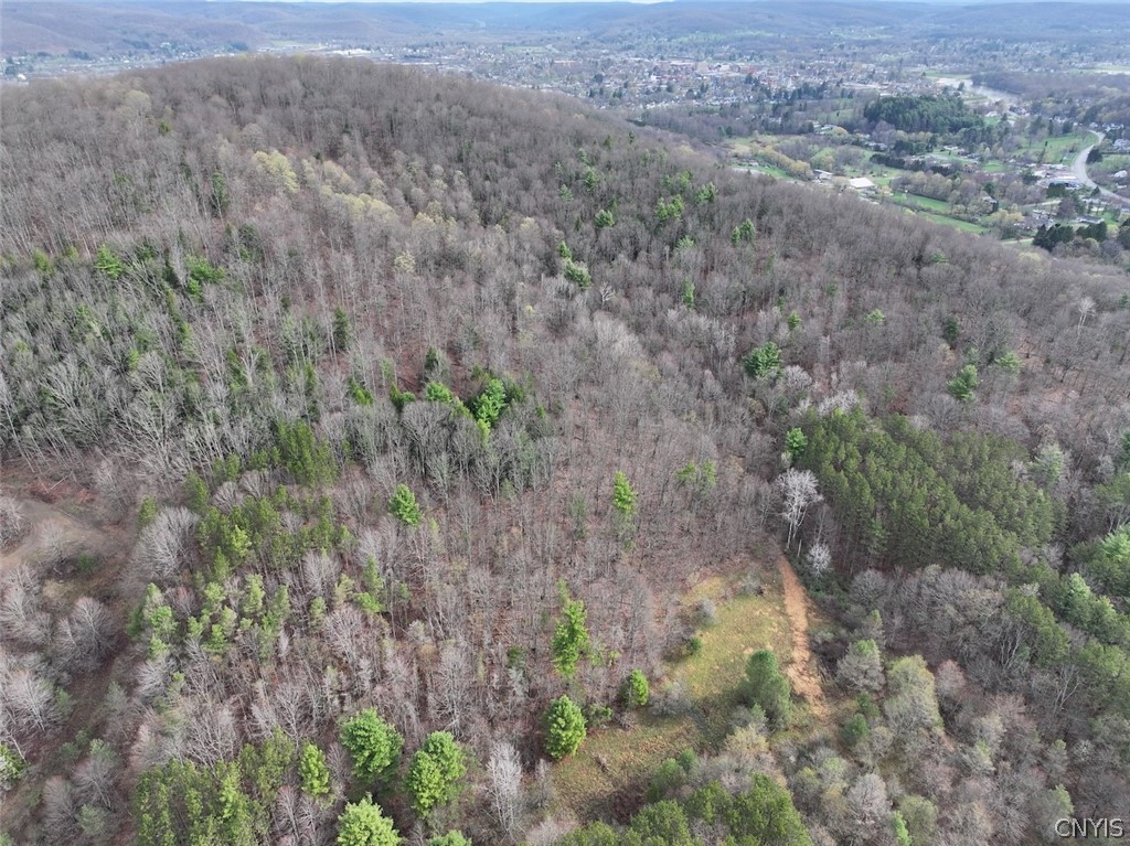 Mccann Hollow Road Olean, NY 14760 - Photo 4 of 38