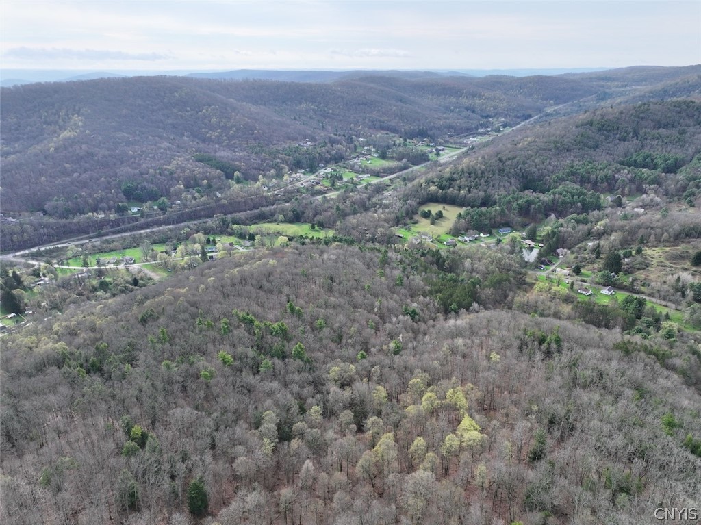 Mccann Hollow Road Olean, NY 14760 - Photo 5 of 38