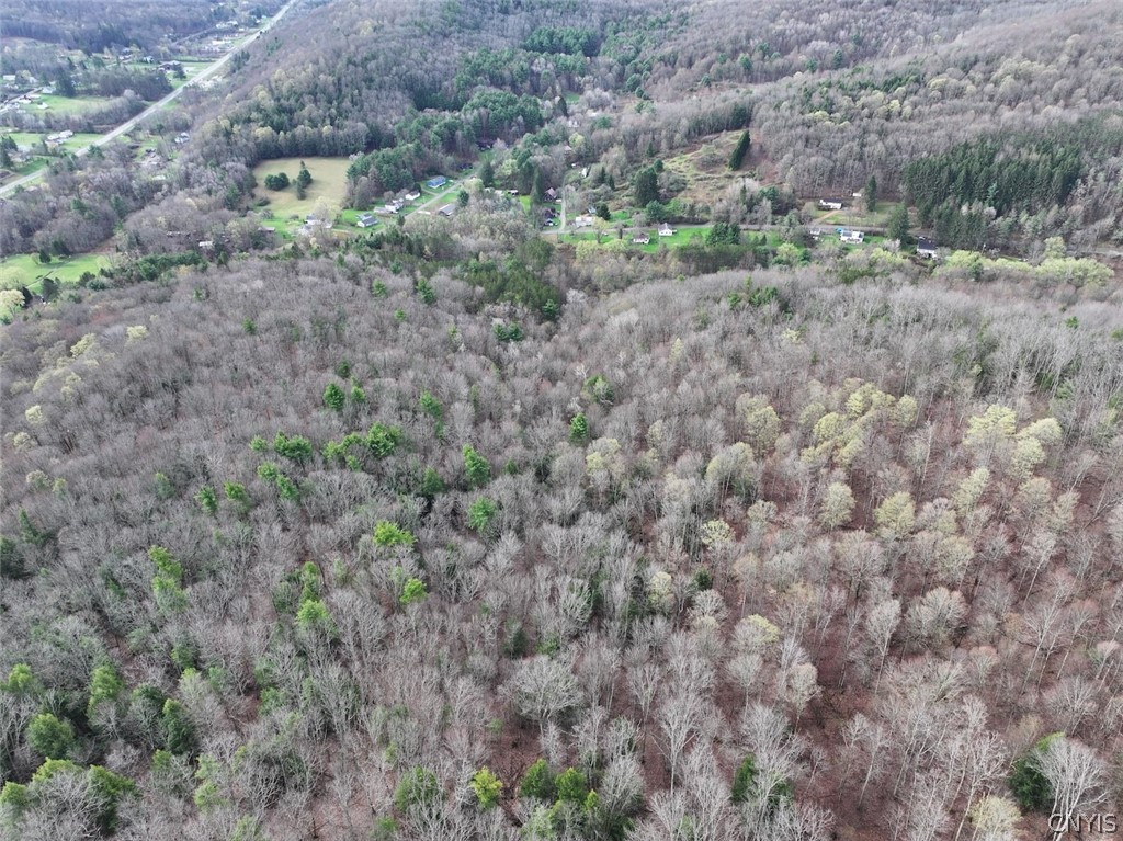 Mccann Hollow Road Olean, NY 14760 - Photo 6 of 38