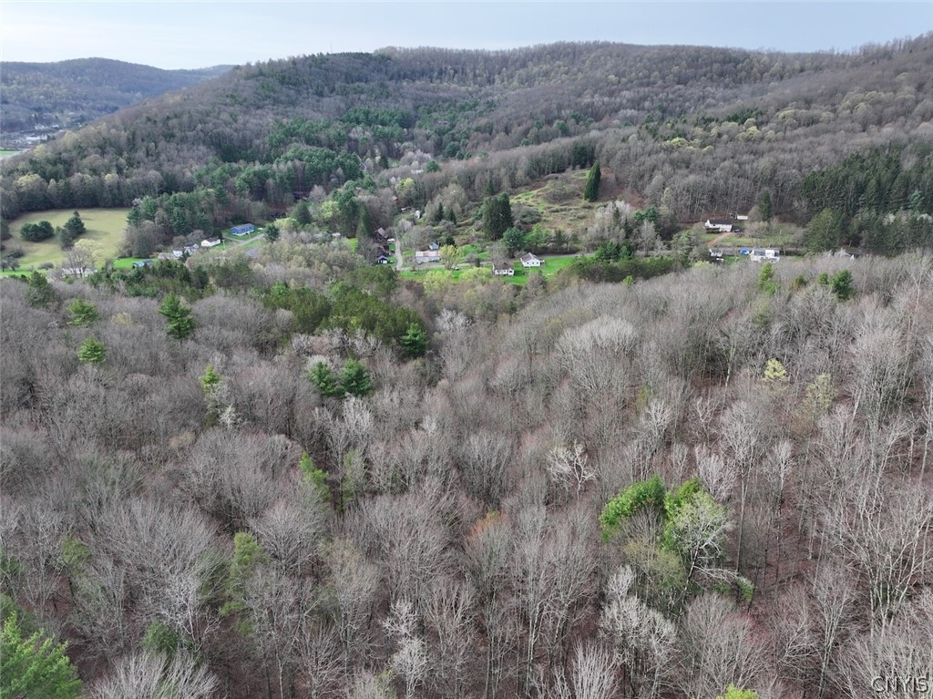 Mccann Hollow Road Olean, NY 14760 - Photo 7 of 38