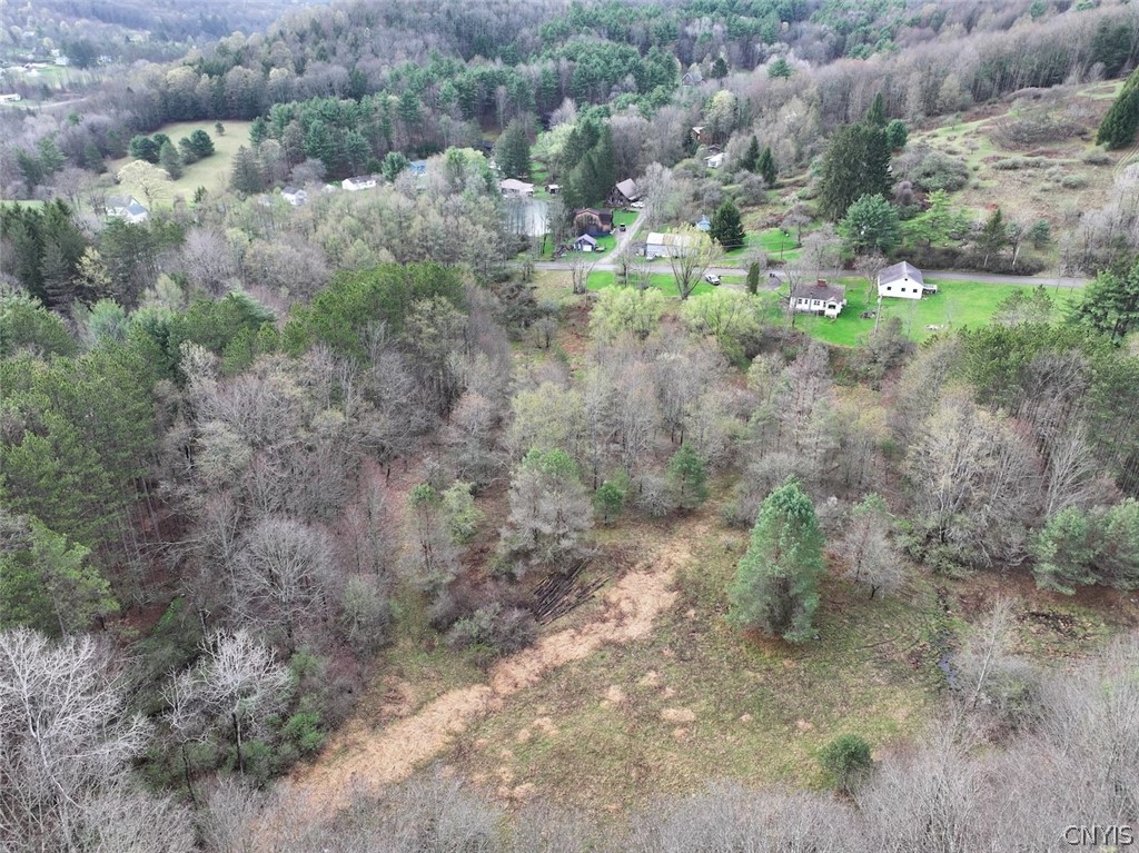 Mccann Hollow Road Olean, NY 14760 - Photo 8 of 38