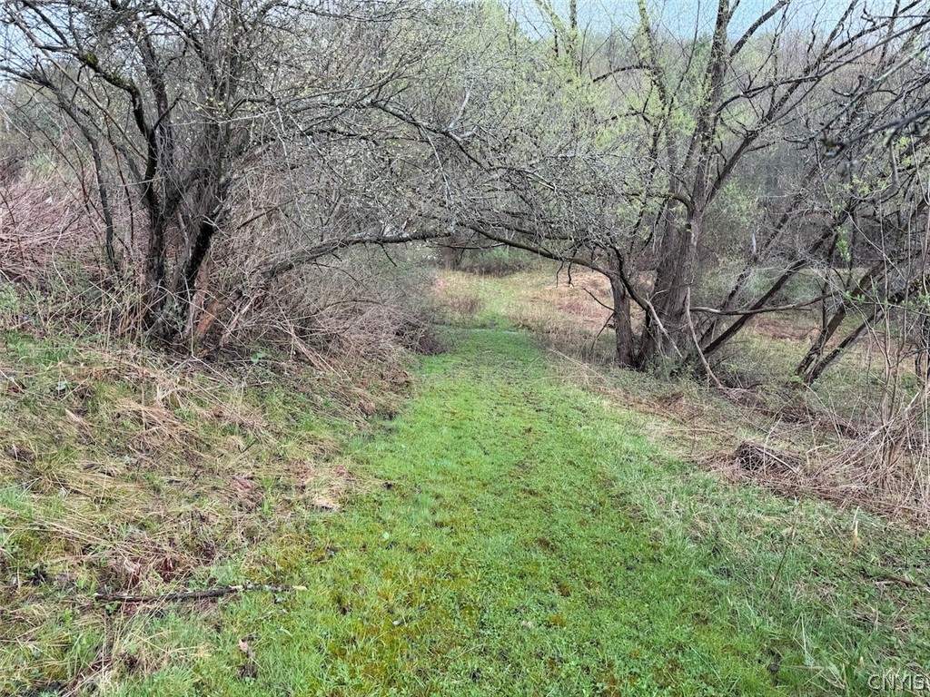 Mccann Hollow Road Olean, NY 14760 - Photo 10 of 38