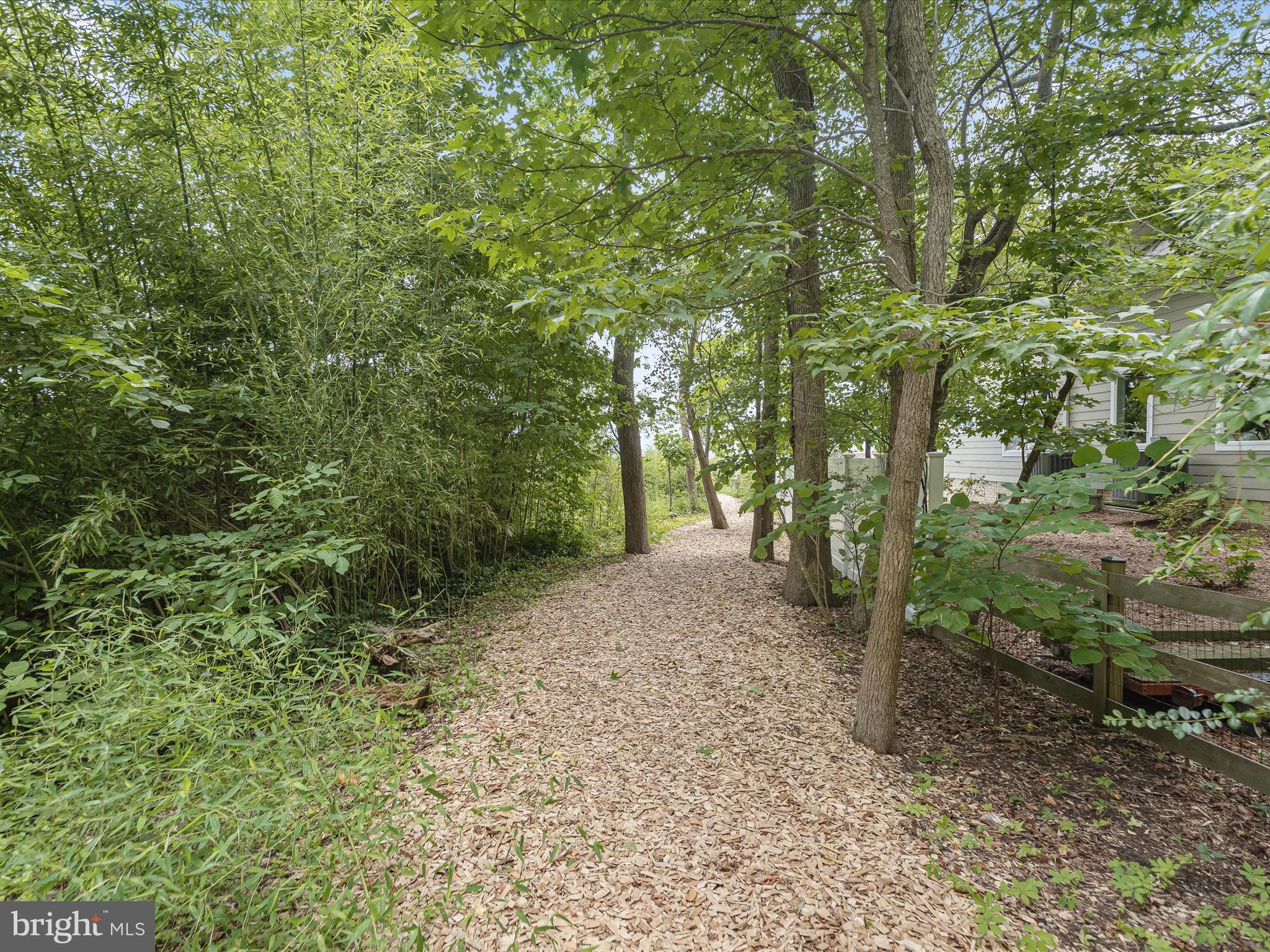 941 Buttonwood Trail Crownsville, MD 21032 - Photo 35 of 43 a view of a forest filled with trees