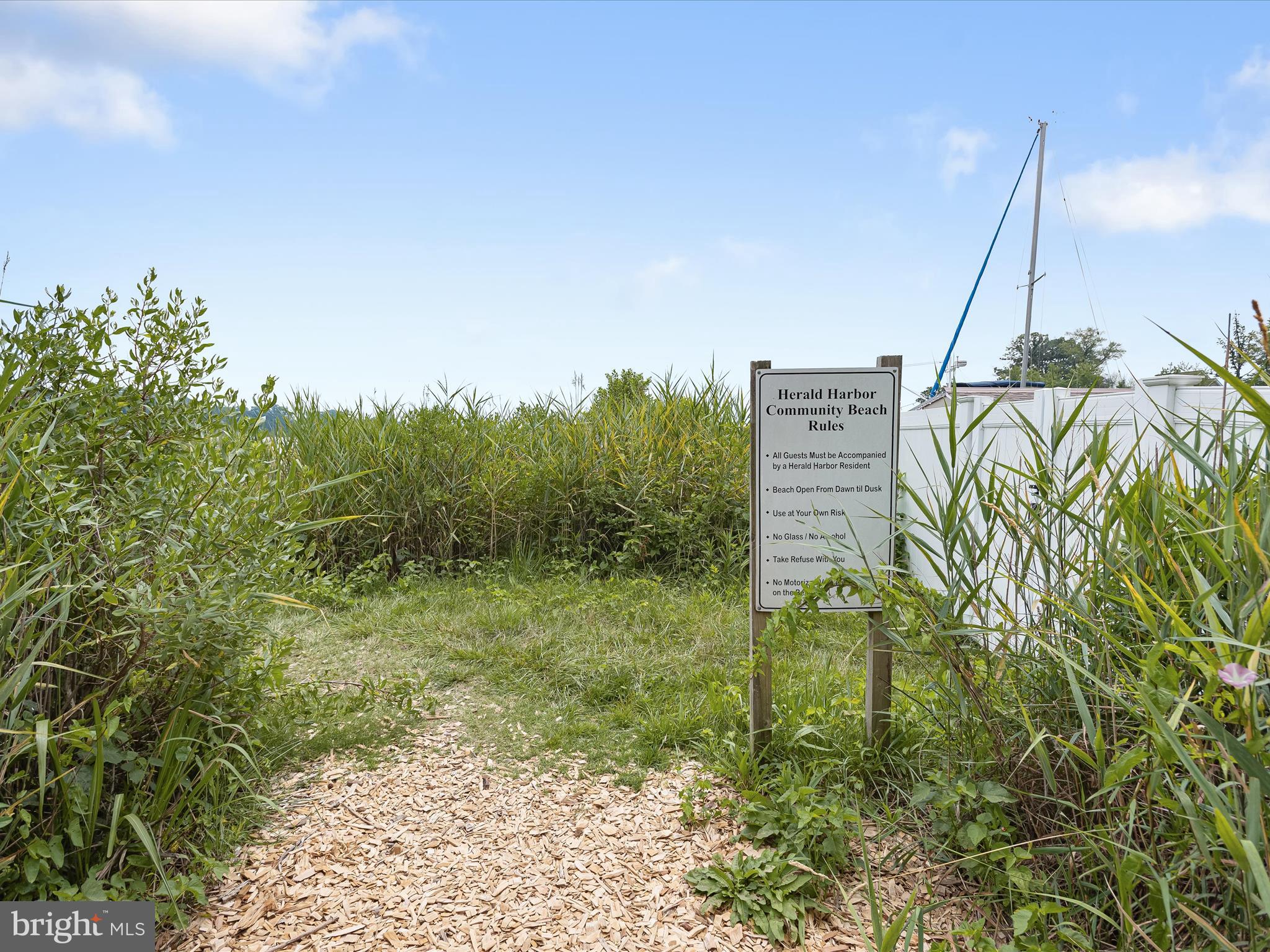 941 Buttonwood Trail Crownsville, MD 21032 - Photo 36 of 43 a picture of a yard