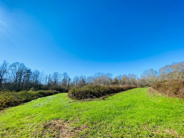 0 Harveytown Road Tylertown, MS 39667 - Photo 3 of 22 Photo 3
