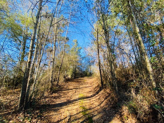 0 Harveytown Road Tylertown, MS 39667 - Photo 5 of 22 Photo 5