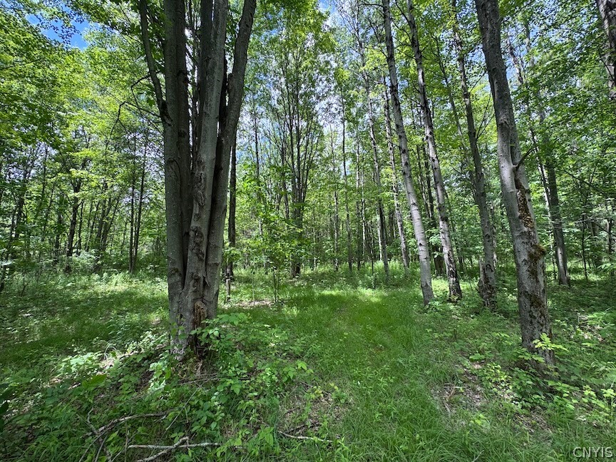 6227 Fritz Road Belfast, NY 14739 - Photo 44 of 50