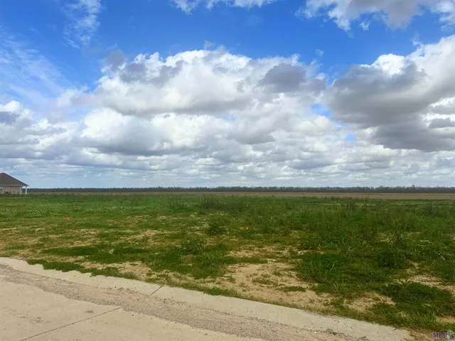 $95,000 | 2330 East Bellevue Lks Street, Paulina, LA 70763