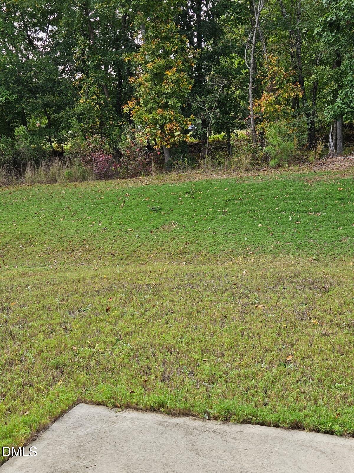 1740 Ripley Woods Street Wake Forest, NC 27587 - Photo 18 of 20 WhatsApp Image 2025-11-02 at 2.13.03 PM