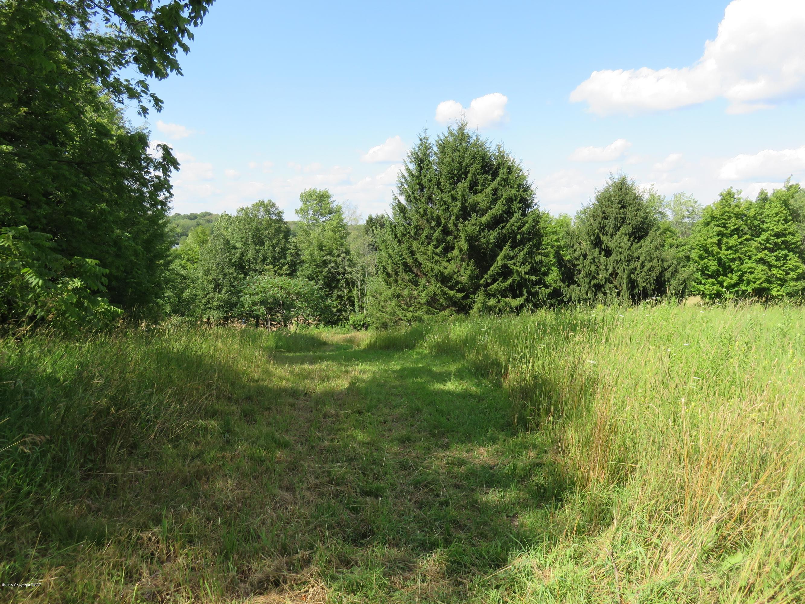 Lot Spring Spring Hill Road Moscow, PA 18444 - Photo 2 of 4 IMG_2094