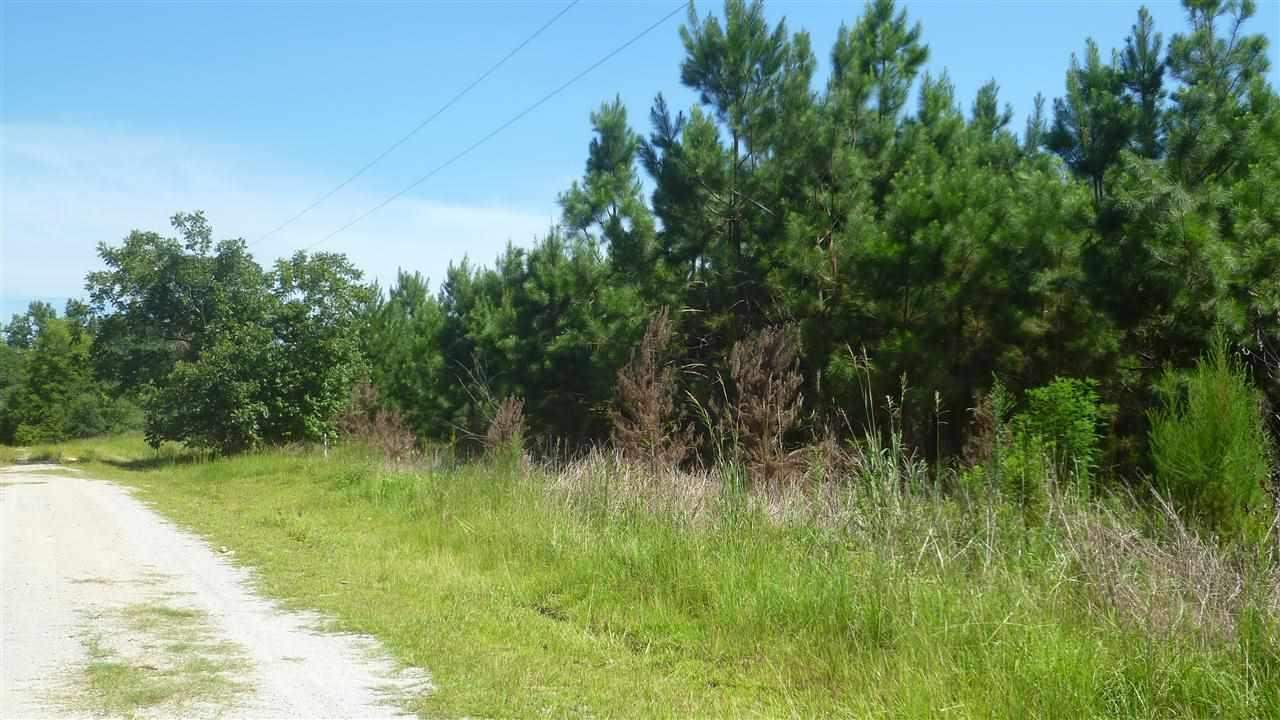 Lot C3 Colorado Ranch Road Loris, SC 29569 - Photo 1 of 8 Gallery Image 1