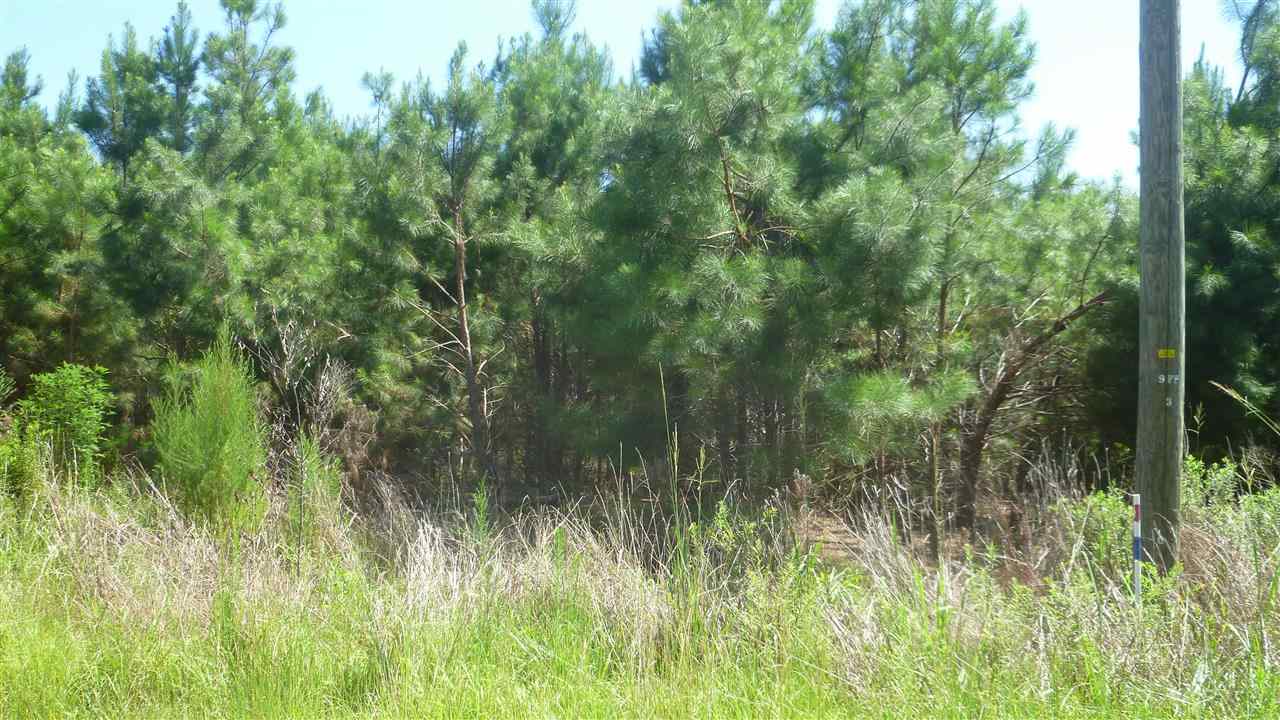 Lot C3 Colorado Ranch Road Loris, SC 29569 - Photo 2 of 8 Gallery Image 2
