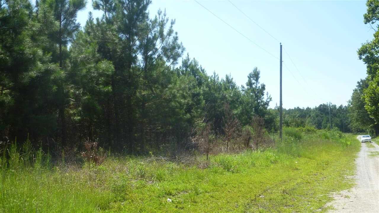 Lot C3 Colorado Ranch Road Loris, SC 29569 - Photo 4 of 8 Gallery Image 4