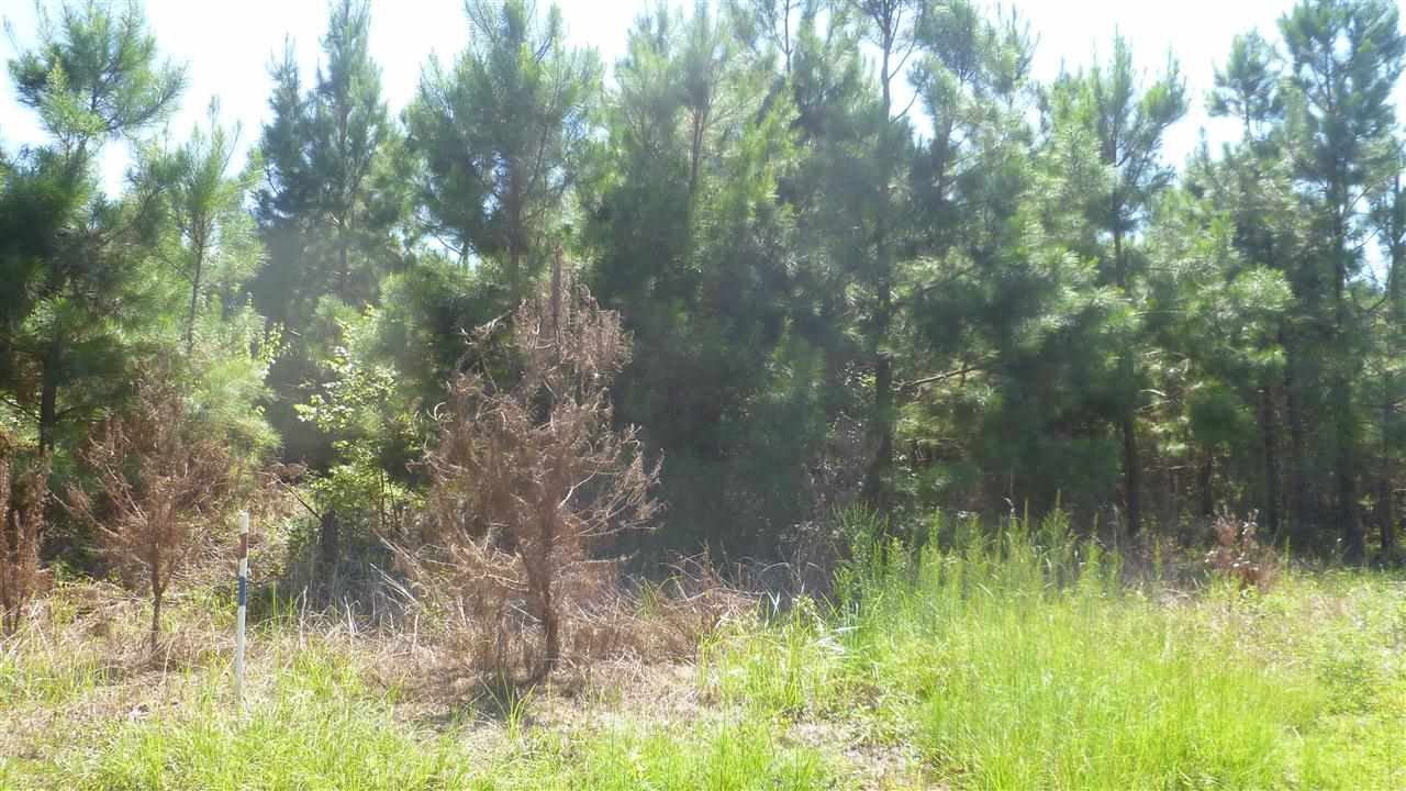 Lot C3 Colorado Ranch Road Loris, SC 29569 - Photo 5 of 8 Gallery Image 5