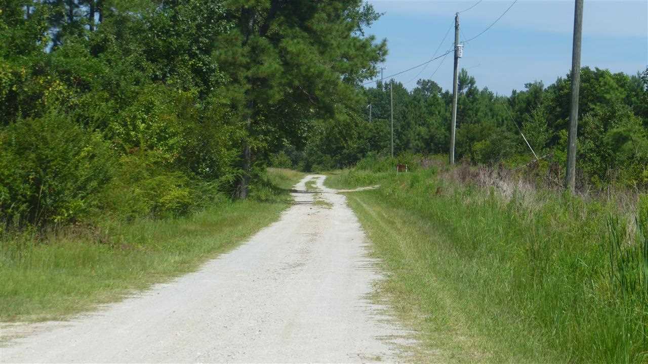 Lot C3 Colorado Ranch Road Loris, SC 29569 - Photo 8 of 8 Gallery Image 8