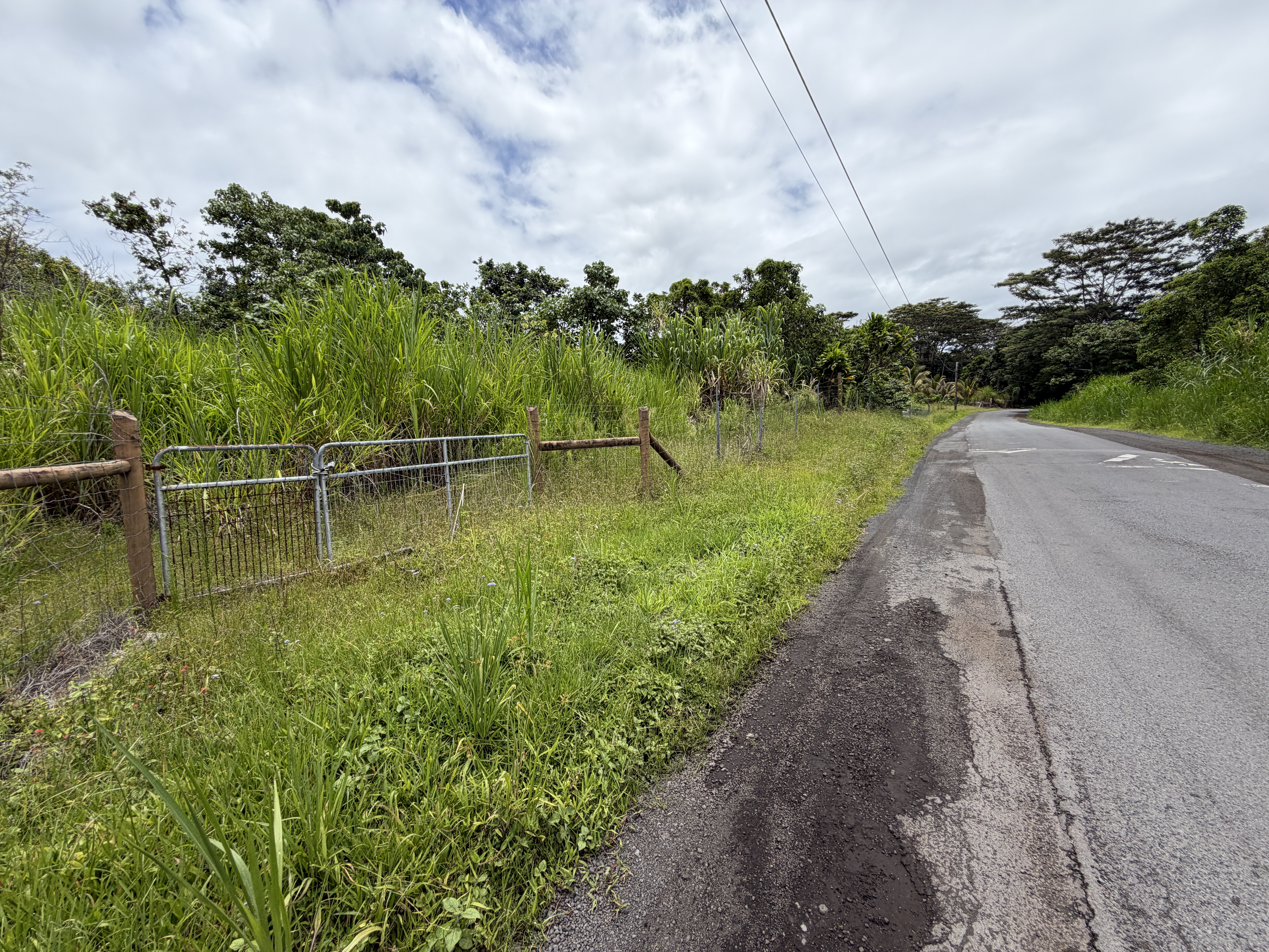 2 Opihikau Road Pahoa, HI 96778 - Photo 14 of 16
