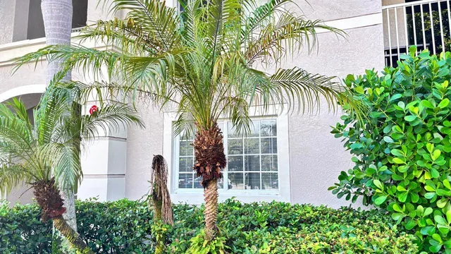 $293,400 | 5025 Wiles Road, Unit 107, Coconut Creek, FL 33073