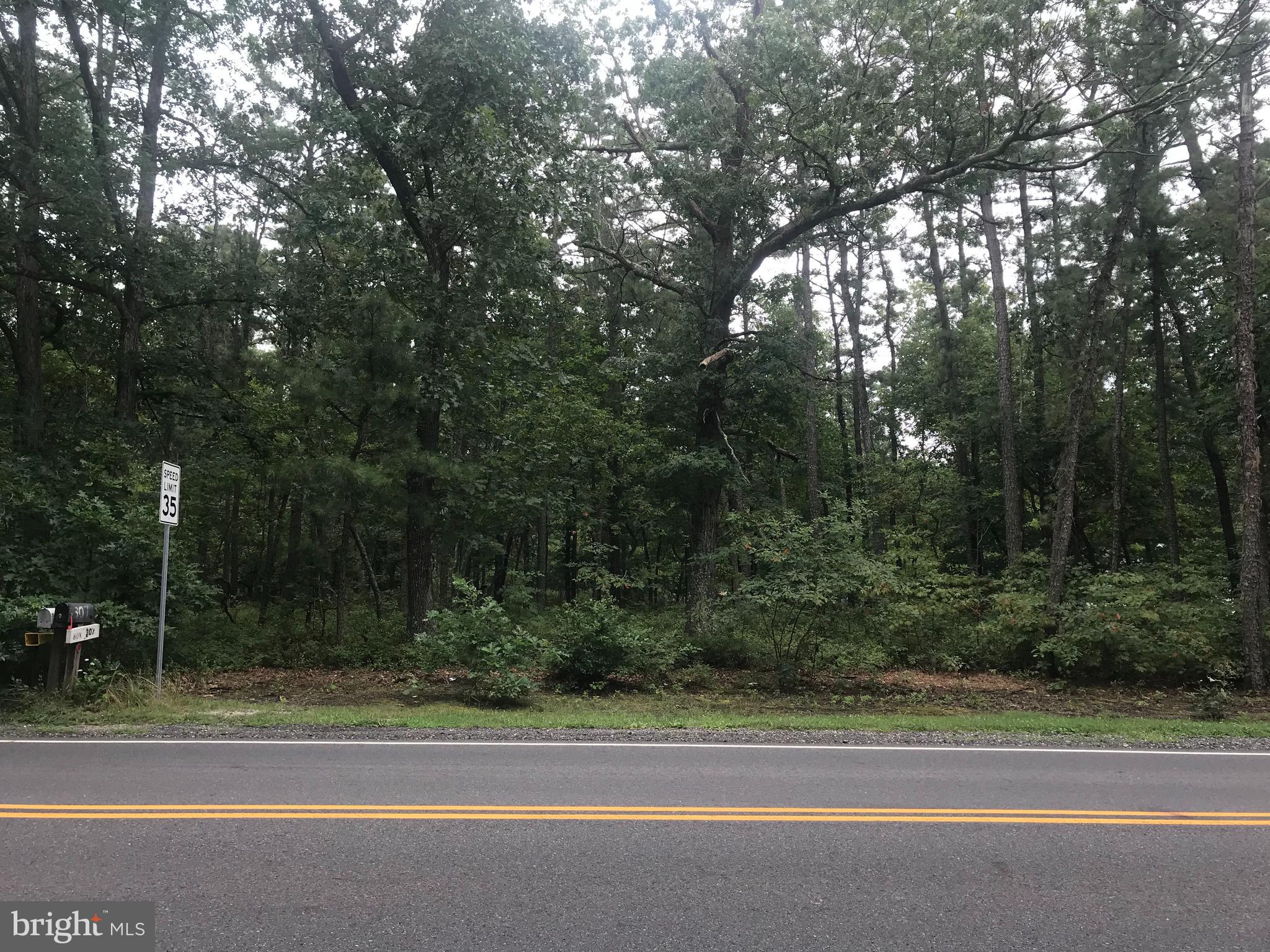 0 Weymouth Road Buena, NJ 08310 - Photo 4 of 4