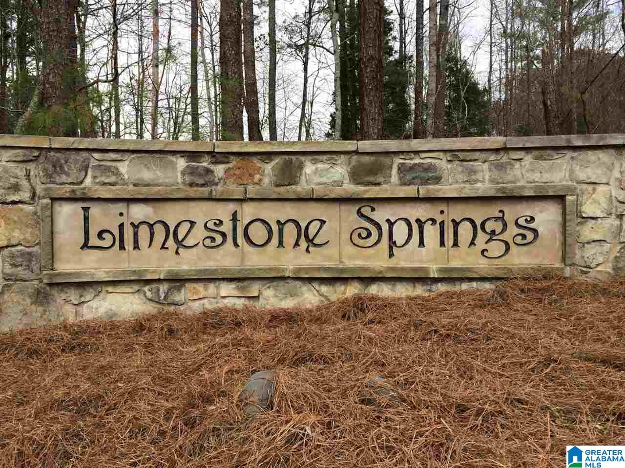 0 Bellerive Circle, Unit 160 Oneonta, AL 35121 - Photo 6 of 19