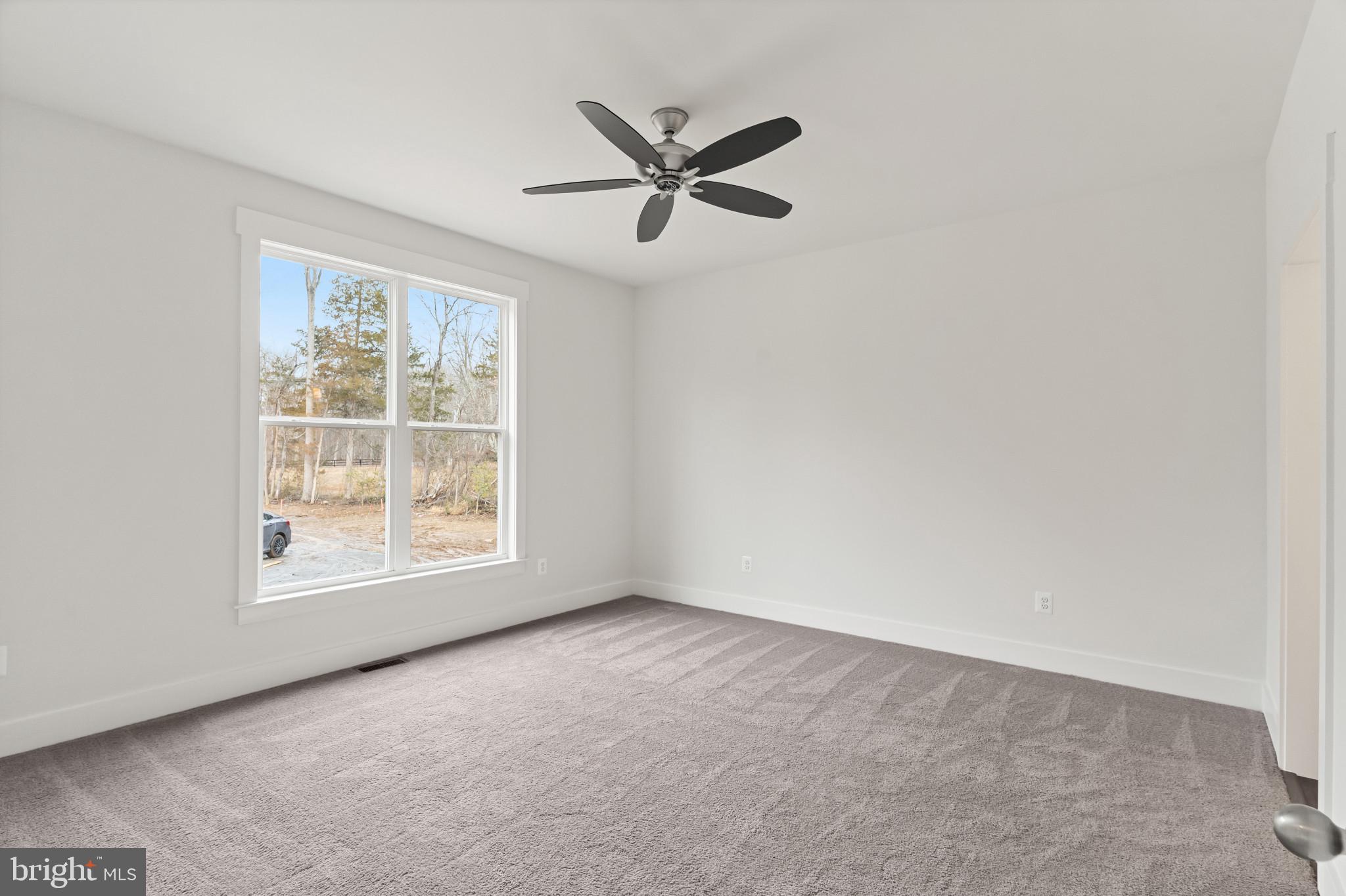 6735 Beverly Road Broad Run, VA 20137 - Photo 8 of 30 Empty room featuring carpet flooring and ceiling f