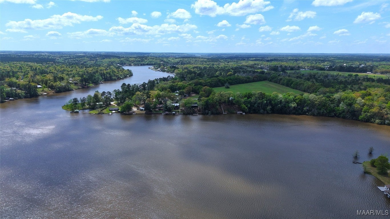 29782 Lake Top Road Andalusia, AL 36421 - Photo 21 of 27 Gallery Image 21
