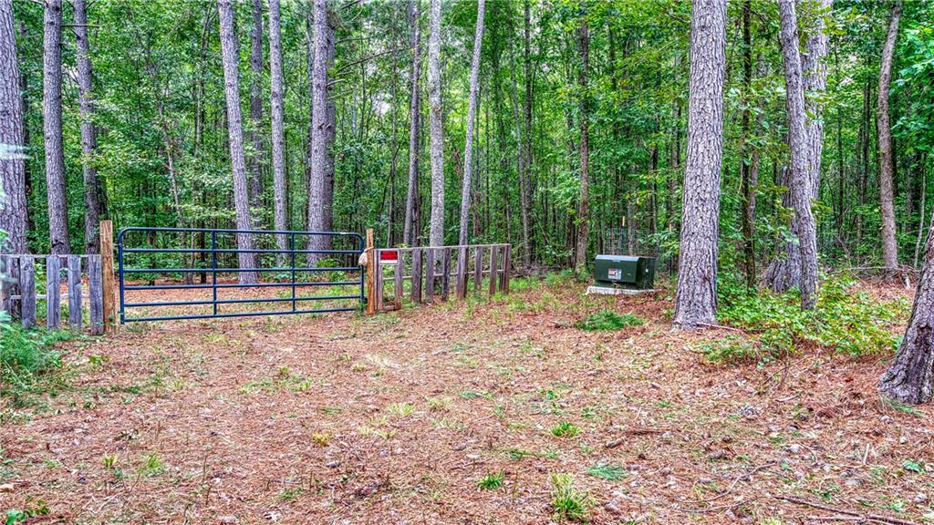 130 Levi Trail Nicholson, GA 30565 - Photo 4 of 10 Gallery Image 4