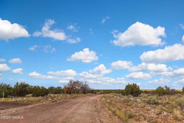 $99,000 | 3097 North Peakview Road, Unit LOT A, Williams, AZ 86046